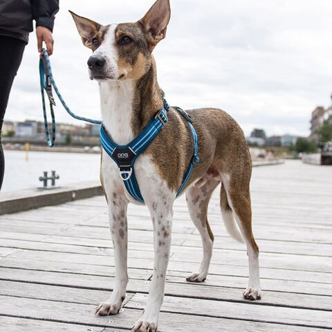 Comfort Walk Air™ selen