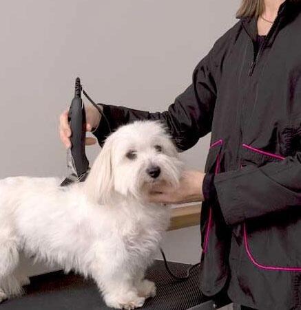 Ollipet Groomingjakke med lange ærmer