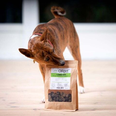 Ollipet Lammeterninger 250g