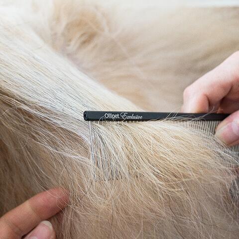 Ollipet Exclusive comb | Groomingkam