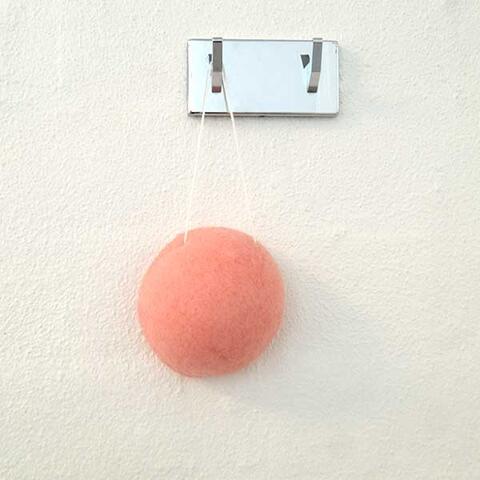 Konjac svamp pet | 100% natur