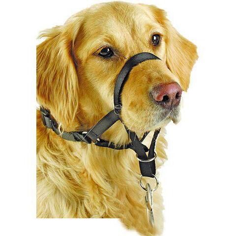 Dog Head Collar | Snudesele