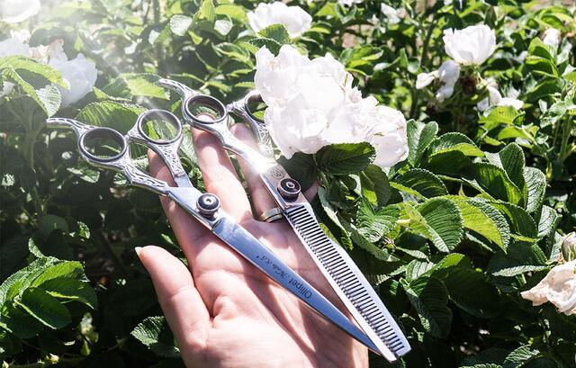 Ollipet Nordic saksesæt 8.5"