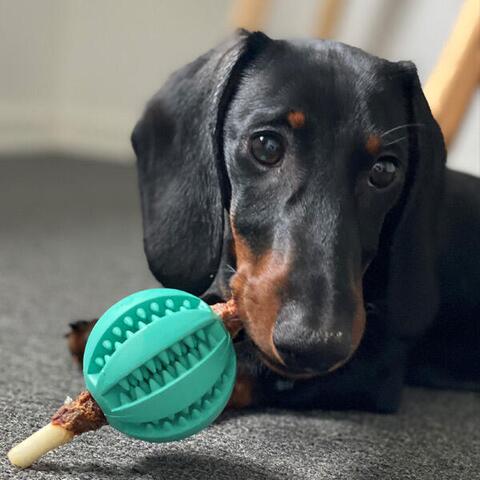 Mintfresh Dental bold | Turkis | tandrensende | 6 cm