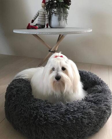 Soft Cloud Donut Hundeseng | Coton i str 60 cm - Billede fra en kunde