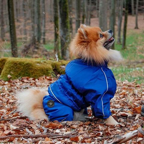 Ollipet regndragt | Color Collection | Blå I Nyt logo