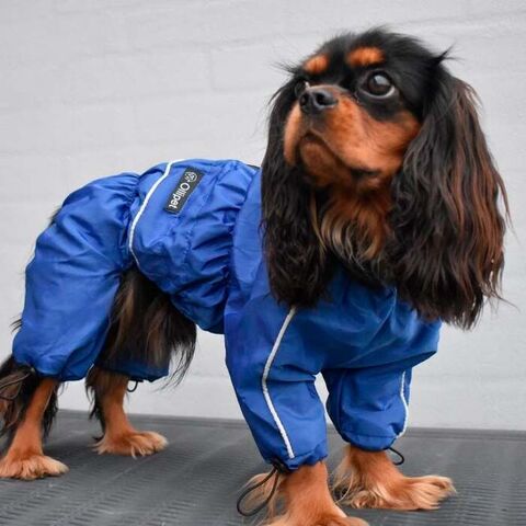 Ollipet regndragt | Color Collection I Blå I Tidligere logo