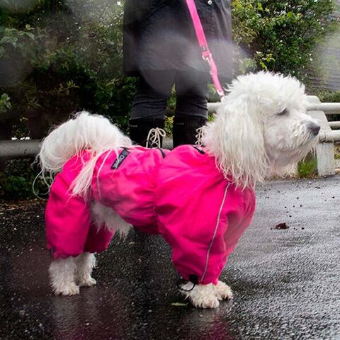 Ollipet regndragt | Color Collection I Pink I Tidligere logo