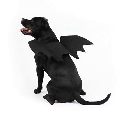 Flagermusevinger | udklædning til hunden