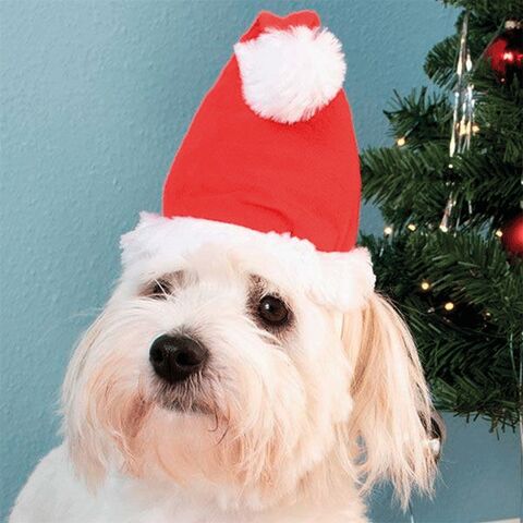 Formfast Nissehue til hunde