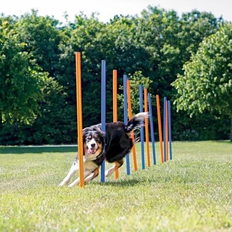 Agility Slalompinde | Trixie