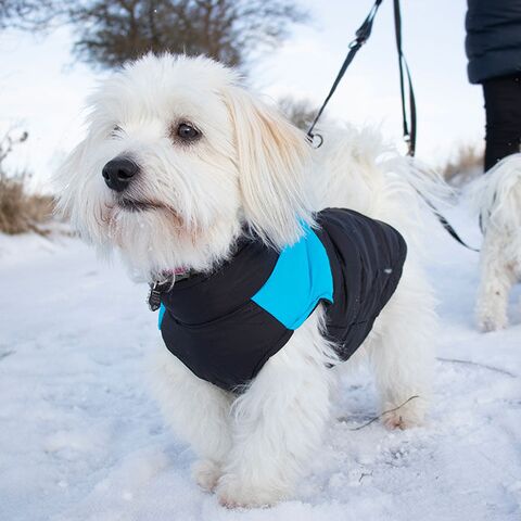 Dynevest hundedækken | quiltet