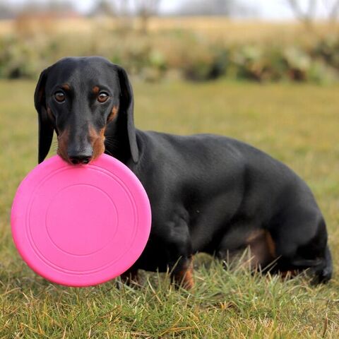 Frisbee Classic Slim
