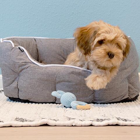 Buddy oval hundeseng | Vendbar pude | str 50 med havaneserhvalp på 14 uger