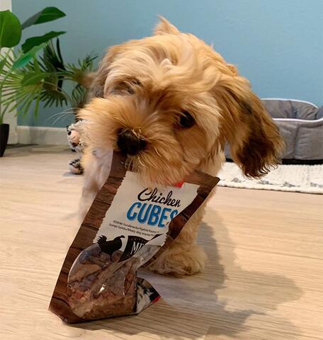 Tiny Treat Cubes | Dogman