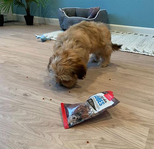 Tiny Treat Cubes | Dogman