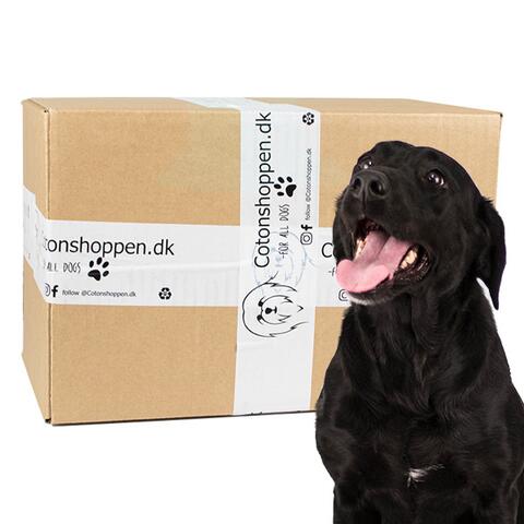 Large Breed Surprise Box