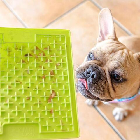 LickiMat Buddy | Aktivitetsmåtte