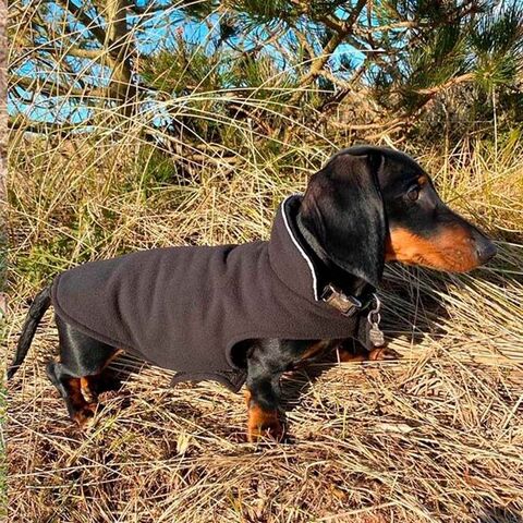 Ollipet Cosy fleecedækken 2i1