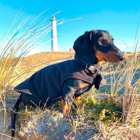 Ollipet Cosy fleecedækken 2i1