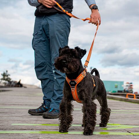 DogCopenhagen Urban Freestyle Hundesnor