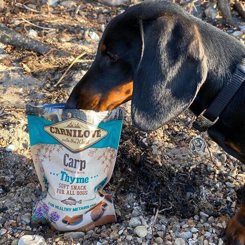 Carnilove Soft snack med karpe og timian | Odji Gravhund