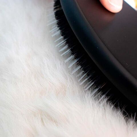 Ollipet Bristle & Nylon Børsten   I størrelse large i coton pels