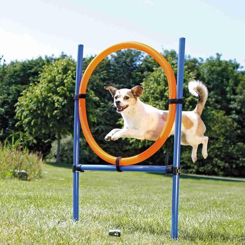 Trixie Agility Ring