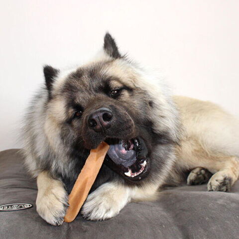 Yaki snacks tyggeben | Kenai