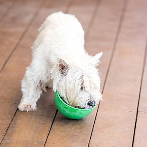 LickiMat Wobble | slow feed