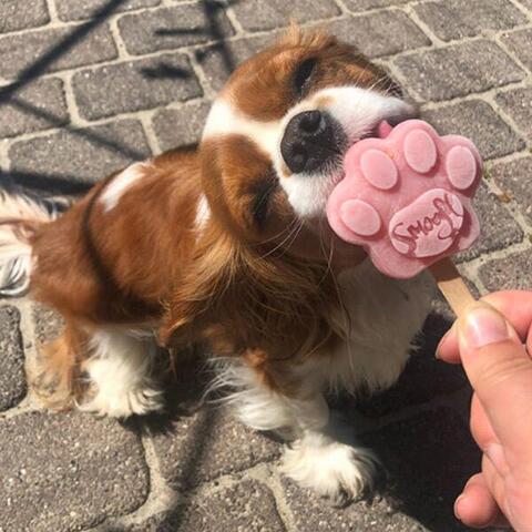 Smoofl Hundeis | Jordbærmix | mynte.and.aicha