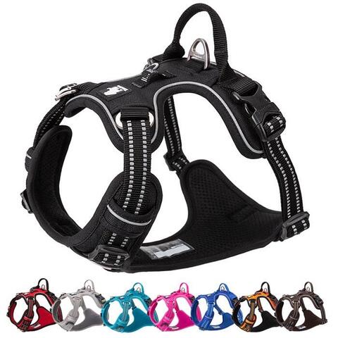 True Love Explosion Proof | Hundesele