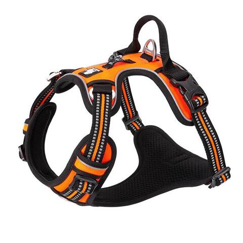 True Love Explosion Proof | Hundesele → Orange