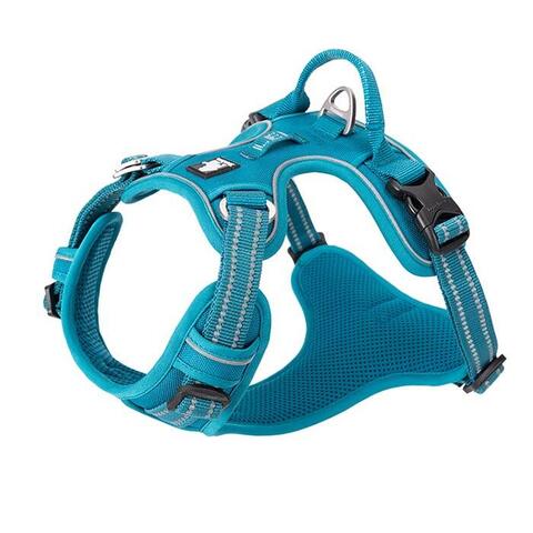 True Love Explosion Proof | Hundesele → Turkis