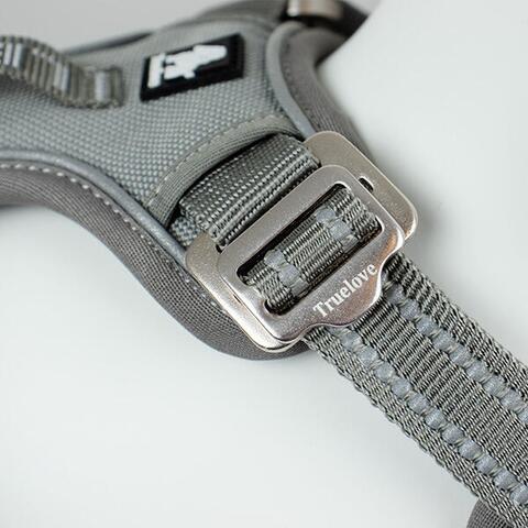 True Love Explosion Proof | Hundesele