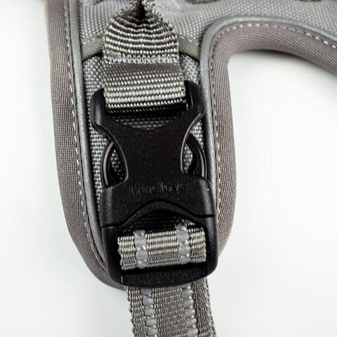 True Love Explosion Proof | Hundesele