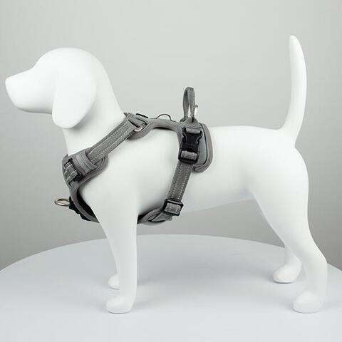 True Love Explosion Proof | Hundesele → Grå