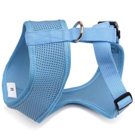 True Love Hvalpesele