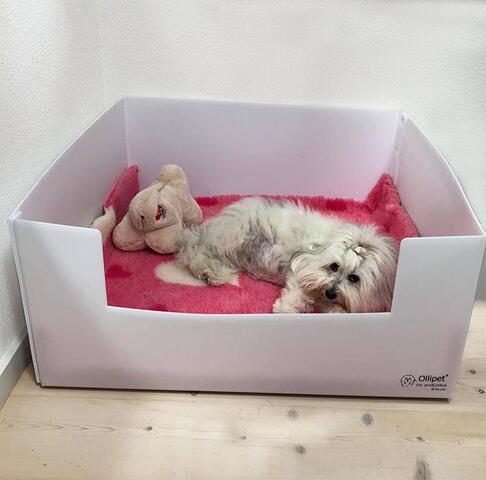 Ollipet fødekasse Recycle | Med drægtig tæve - Kun få dage til fødslen.