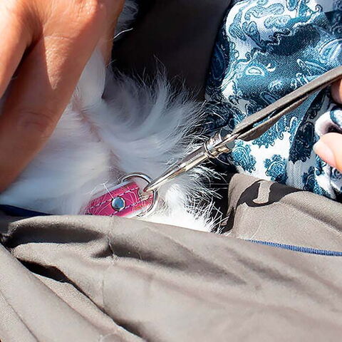 Grå skuldertaske til mindre hunde | Karabinhage til fastspændelse i halsbånd