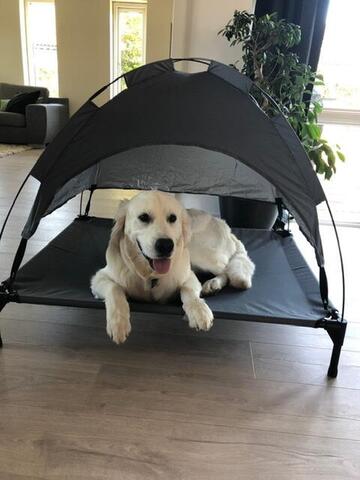 Hundeseng med soltag | Kundebillede