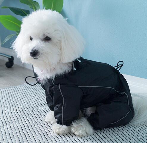 Hunderegndragt fra Kbl → Coton de tulear model