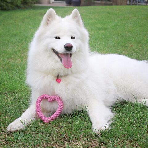 Legerebspakke | højtidspakke | Valentines hjerte