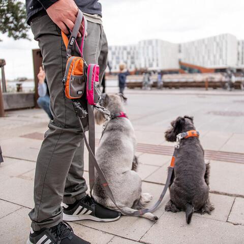 DOG Copenhagen Pouch Organizer