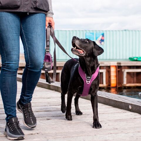 DOG Copenhagen Urban Trail Line 2020