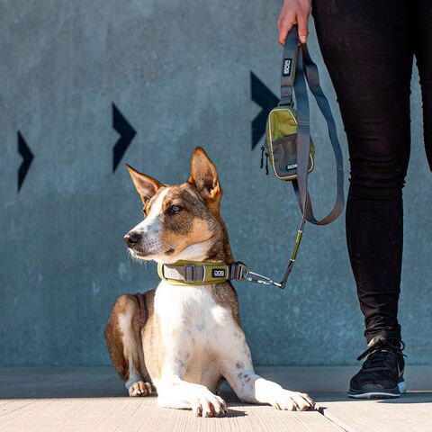 DOG Copenhagen Urban Trail Line 2020