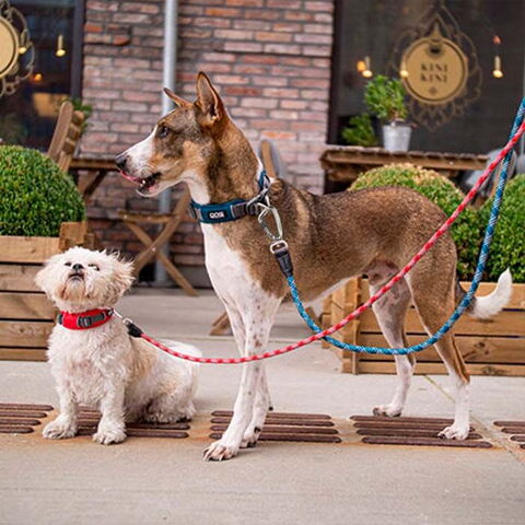 DOG Copenhagen Rope Line