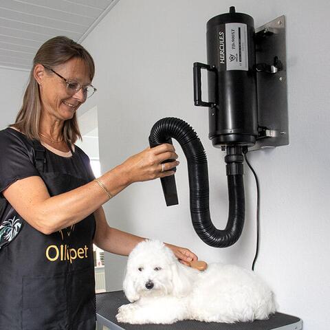 Aeolus Hercules Dual Blower | Vægmonteret