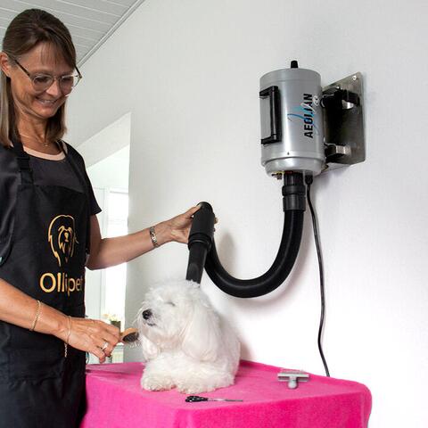 Aeolus Aeolian Blower | Vægmonteret