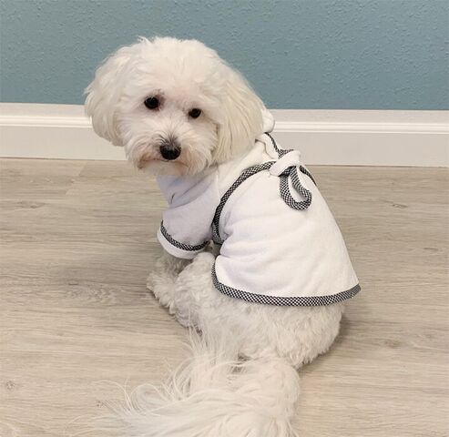 Ollipet badekåbe | Str small